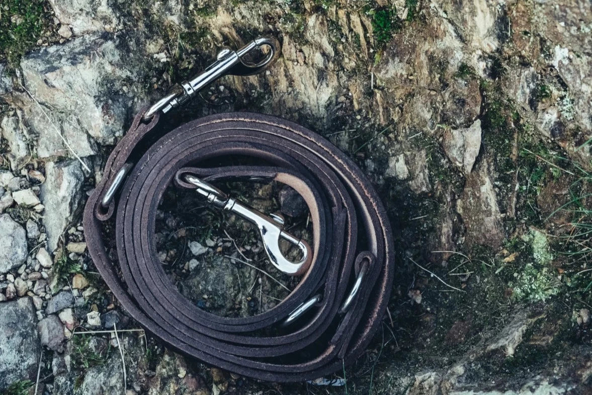 Dog leash Lupine - Brown Leather
